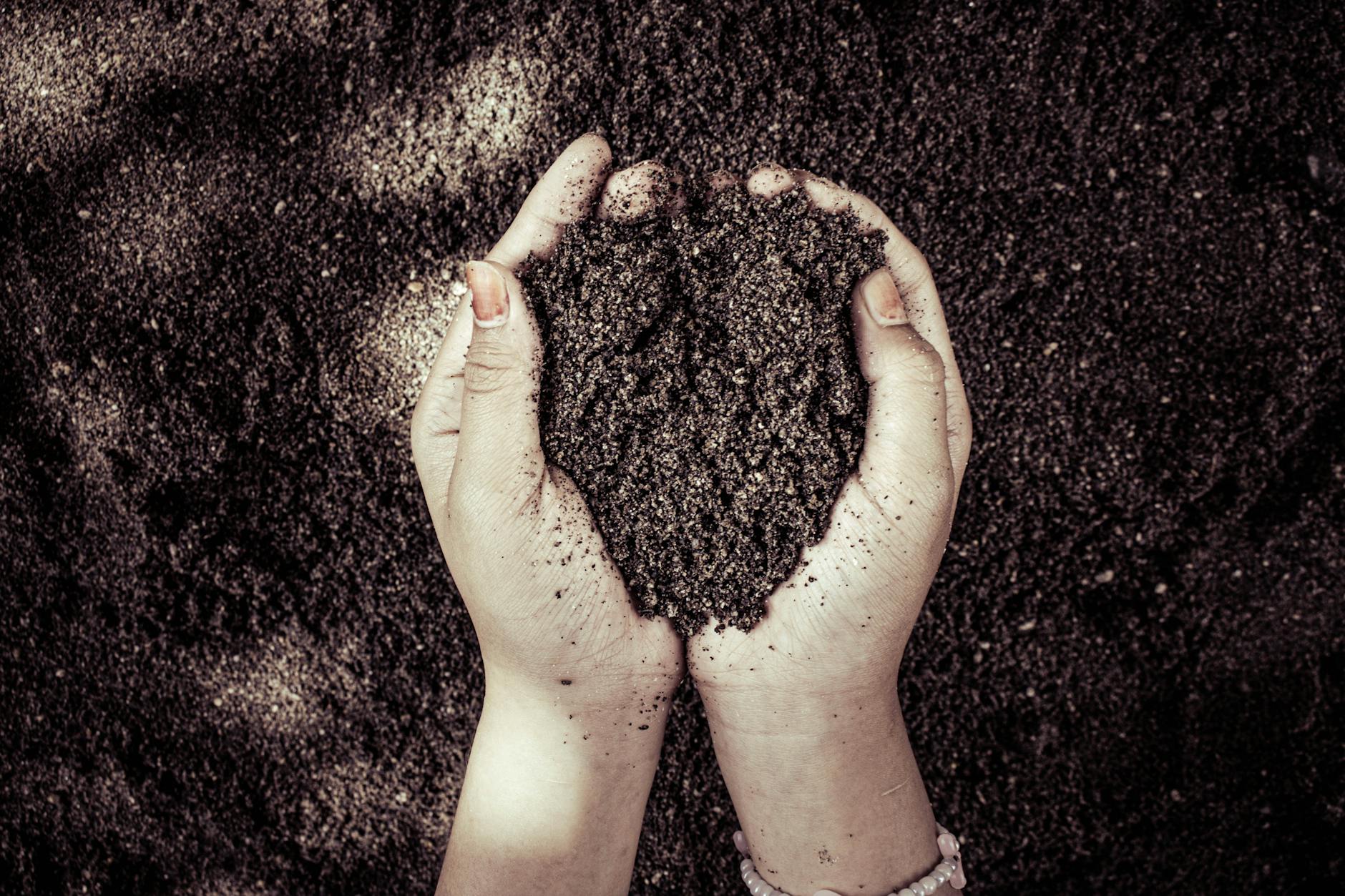 Compost wordt door handen door de aarde gemengd