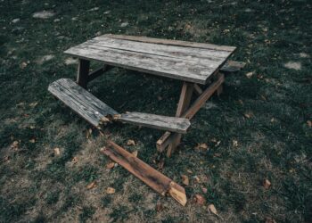 Weathered picnic table in an overgrown park setting, showcasing the beauty of decay and nature's reclaiming.