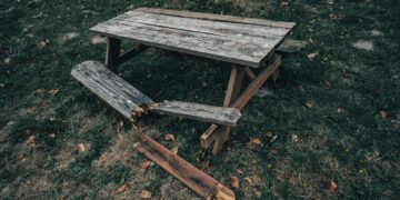 Weathered picnic table in an overgrown park setting, showcasing the beauty of decay and nature's reclaiming.