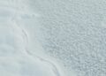 Detailed view of frosty crystallized snow with intricate patterns and textures.