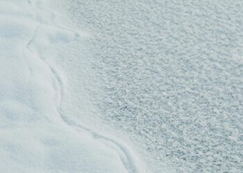 Detailed view of frosty crystallized snow with intricate patterns and textures.