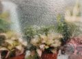 Blurred view of potted plants seen through a dew-covered window, creating a fresh atmosphere.