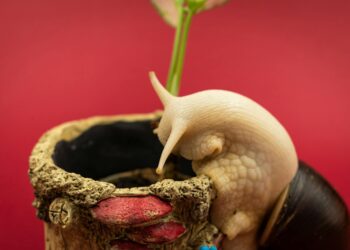 A detailed image of a snail exploring a textured planter against a vibrant red background.