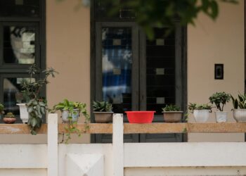 A peaceful balcony featuring a variety of potted plants and a red container, perfect for gardening enthusiasts.