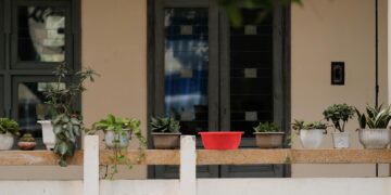 A peaceful balcony featuring a variety of potted plants and a red container, perfect for gardening enthusiasts.