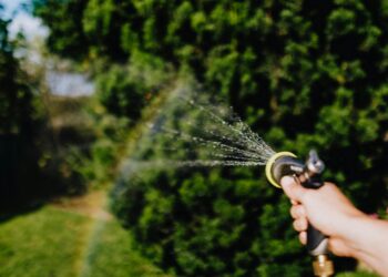 A hand holding a hose watering plants in a lush garden setting.