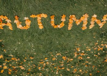 Yellow autumn leaves spell 'AUTUMN' on a vibrant green grass lawn.