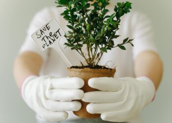 Close-up of hands in gloves holding a potted plant with 'Save the Planet' sign.