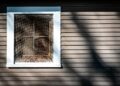 A rustic wooden house exterior showcasing a window with a mosquito net casting shadows in sunlight.
