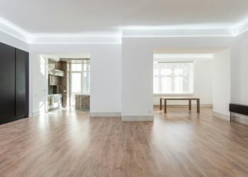 Bright and spacious empty room with wooden flooring, modern design, ideal for interior design inspiration.
