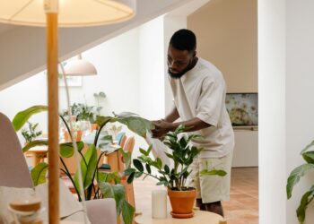 Man tending to houseplants in a bright modern living room setting.