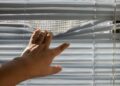 A hand gently opens window blinds, letting sunlight stream indoors.