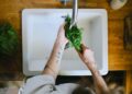 Tattooed hands washing fresh herbs in a kitchen sink, highlighting daily culinary routines.