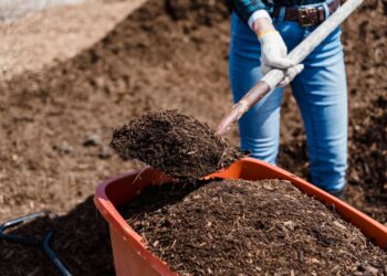 A person shovels compost into a red container, preparing soil for gardening.