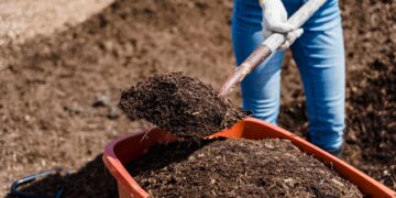A person shovels compost into a red container, preparing soil for gardening.