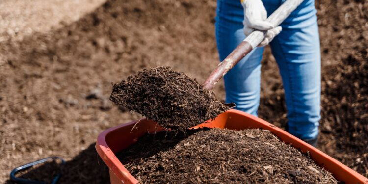 A person shovels compost into a red container, preparing soil for gardening.