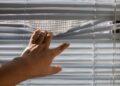 A hand gently opens window blinds, letting sunlight stream indoors.