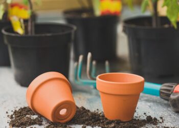 Close-up of clay pots and gardening tools in an outdoor setting. Ideal for garden enthusiasts.