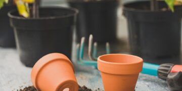 Close-up of clay pots and gardening tools in an outdoor setting. Ideal for garden enthusiasts.