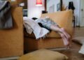 A person relaxing barefoot on a cozy sofa indoors, enjoying a peaceful moment.