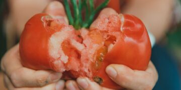 A pair of hands holding a juicy, ripe tomato split open, showcasing freshness.