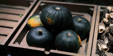 A rustic wooden box filled with fresh Kabocha squash, ideal for autumn cuisine.