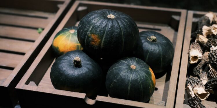 A rustic wooden box filled with fresh Kabocha squash, ideal for autumn cuisine.