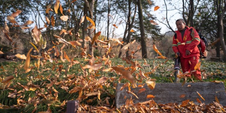 A worker clearing autumn leaves with a blower in a scenic park during fall.