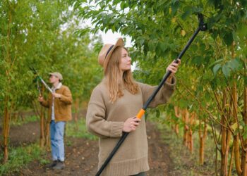 Woman with pole pruner cutting green leaves and branches while working with colleague in garden