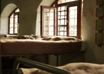 Sunlight streams through open windows onto a cozy bed in a rustic room, creating a warm atmosphere.