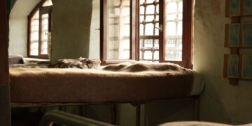Sunlight streams through open windows onto a cozy bed in a rustic room, creating a warm atmosphere.