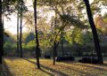 A peaceful park with autumn leaves and garbage bags collected, conveying an environmental theme.