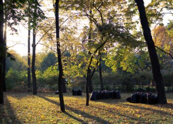A peaceful park with autumn leaves and garbage bags collected, conveying an environmental theme.