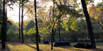 A peaceful park with autumn leaves and garbage bags collected, conveying an environmental theme.