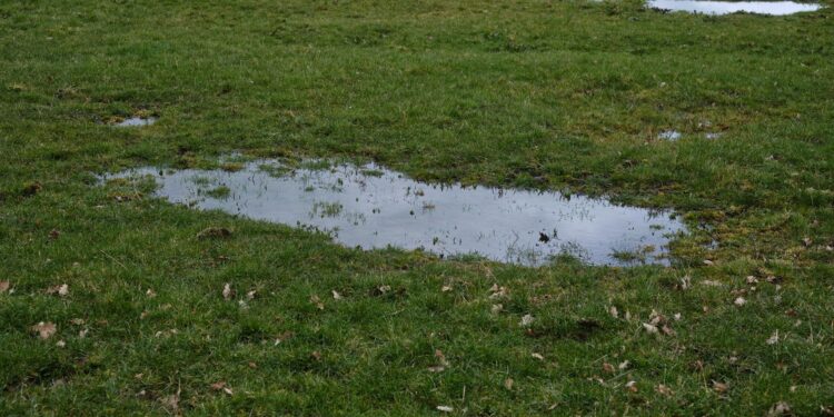 Tranquil view of a lush grassland with fresh rain puddles in Greystoke, England.