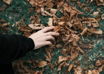 Close-up of a hand touching dry leaves on grass, symbolizing autumn season.