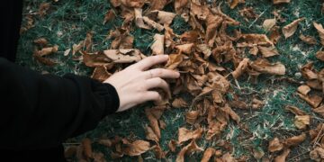 Close-up of a hand touching dry leaves on grass, symbolizing autumn season.