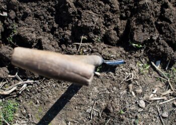 A shovel in freshly turned soil, ideal for gardening or farming themes.