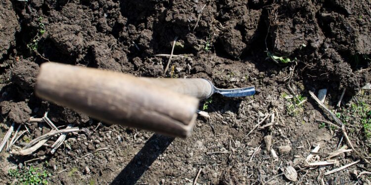 A shovel in freshly turned soil, ideal for gardening or farming themes.