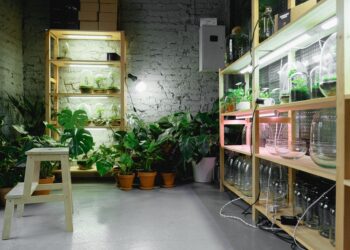 A cozy indoor plant room featuring shelves with grow lights and vibrant greenery.