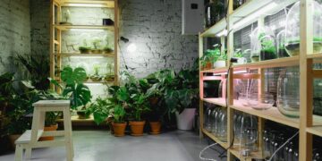 A cozy indoor plant room featuring shelves with grow lights and vibrant greenery.